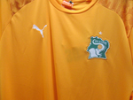 Ivory Coast shirt